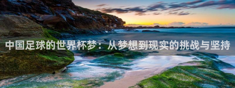 2026世预赛全部赛程：中国足球的世界杯梦：从梦想到现实的挑战与坚持