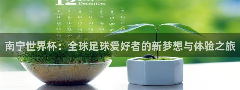 世界杯足球2026：南宁世界杯：全球足球爱好者的新梦想与体验之旅