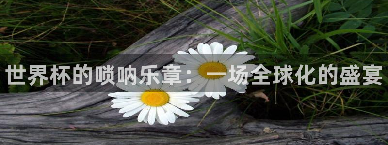 世界杯直播在线观看入口：世界杯的唢呐乐章：一场全球化的盛宴