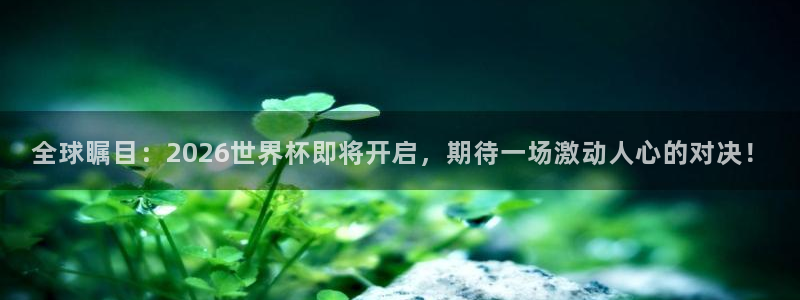 世界杯亚洲区预选赛赛程：全球瞩目：2026世界杯即将开启，期待一场激动人心的对决！