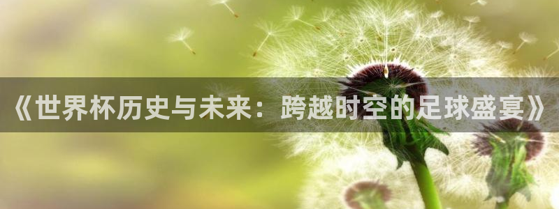 世界杯直播：《世界杯历史与未来：跨越时空的足球盛宴》