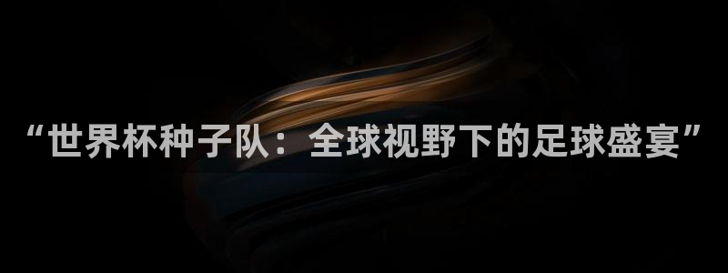 2006年世界杯：“世界杯种子队：全球视野下的足球盛宴”