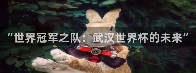 世界杯在线直播入口：“世界冠军之队：武汉世界杯的未来”