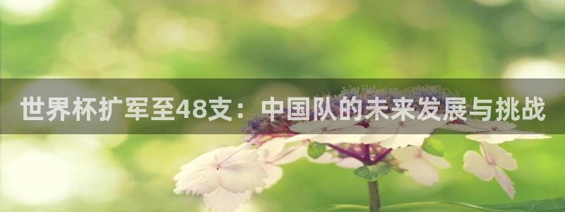 世界杯亚洲区预选赛赛程：世界杯扩军至48支：中国队的未来发展与挑战