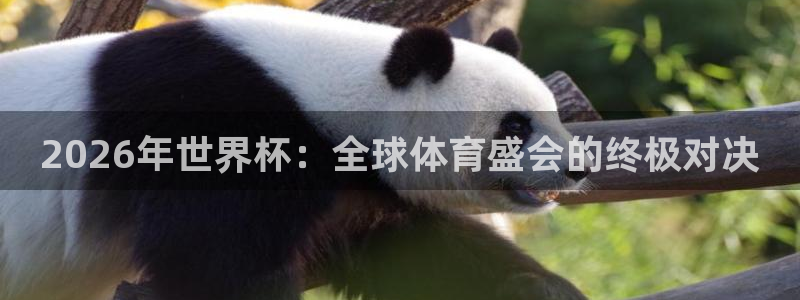 世界杯预选赛亚洲：2026年世界杯：全球体育盛会的终极对决