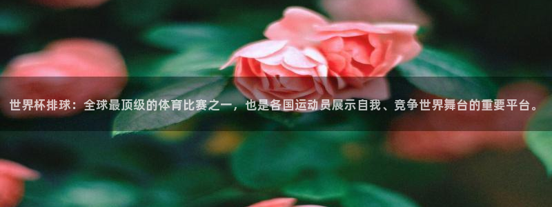 世界杯决赛直播：世界杯排球：全球最顶级的体育比赛之一，也是各国运动员展示自我、竞争世界舞台的重要平台。