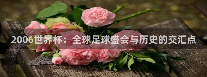 世界杯2026比赛时间表：2006世界杯：全球足球盛会与历史的交汇点